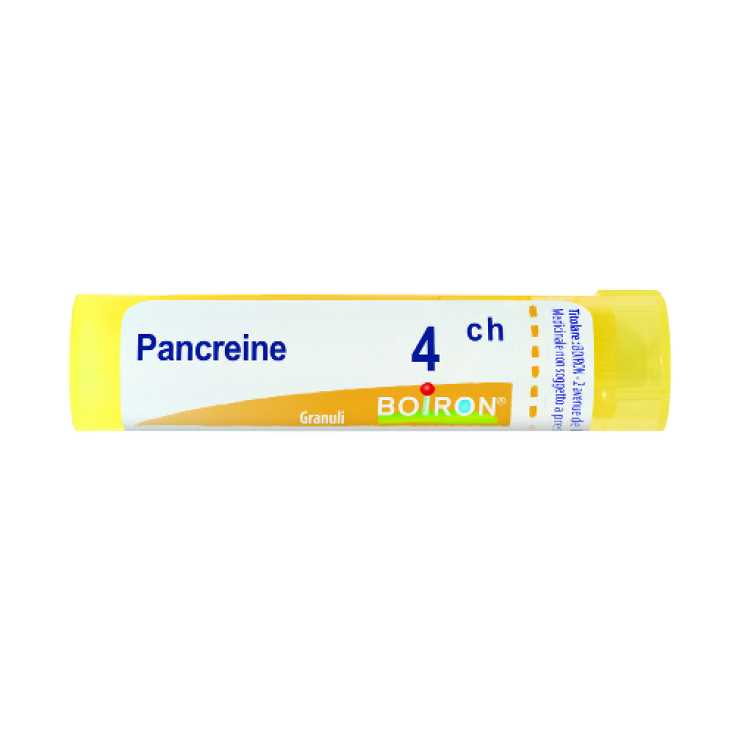 Pancreine 4ch Boiron Granuli 4g