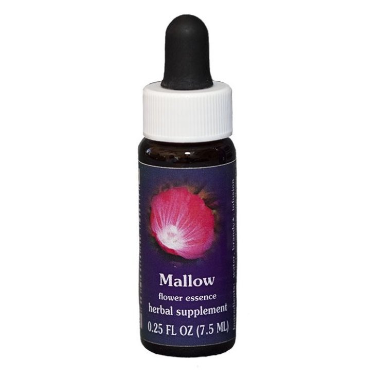 Mallow Essenza Singola Californiana Flower Essence Society 7,4ml 