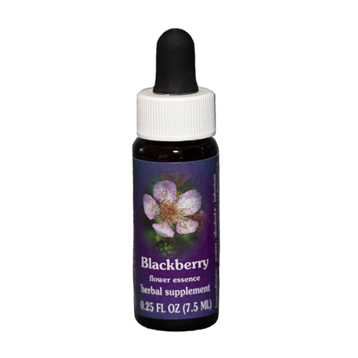 Blackberry Essenza Singola Californiana Flower Essence Society 7,4ml 