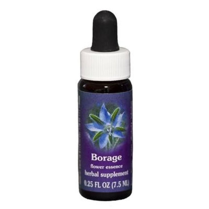 Borage Essenza Singola Californiana Flower Essence Society 7,4ml 