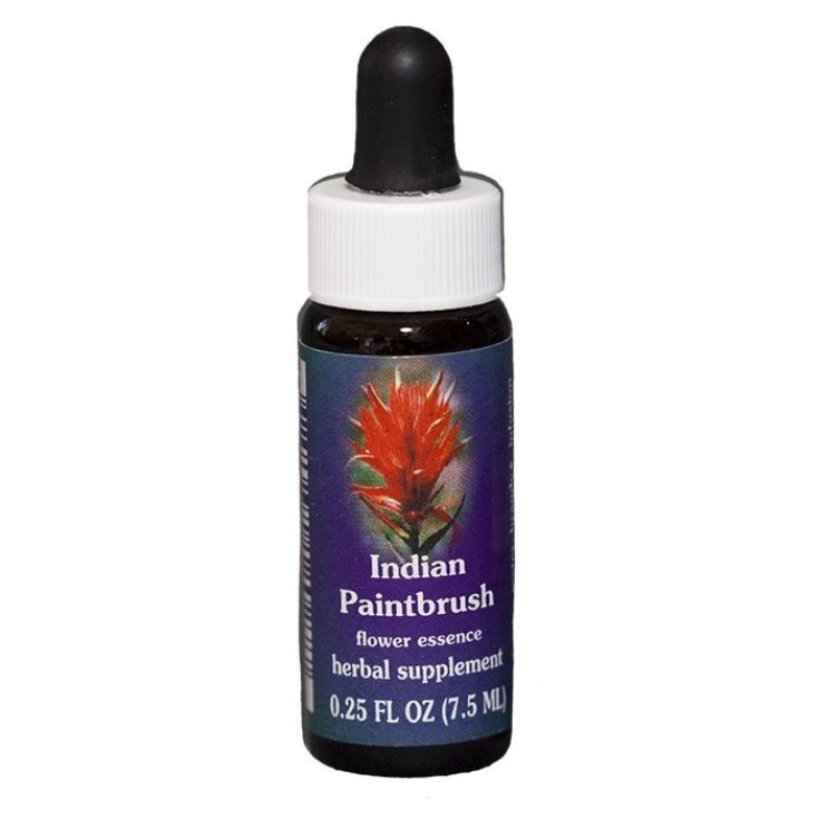 Indian Paintbrush Essenza Singola Californiana Flower Essence Society 7,4ml 