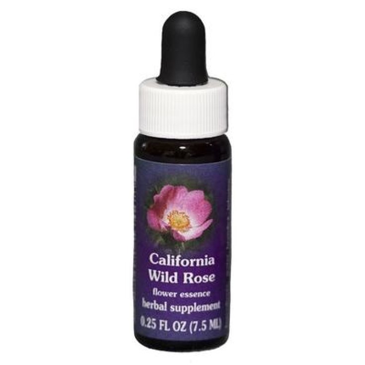 California Wild Rose Essenza Singola Californiana&nbsp;Flower Essence Society 7,4ml