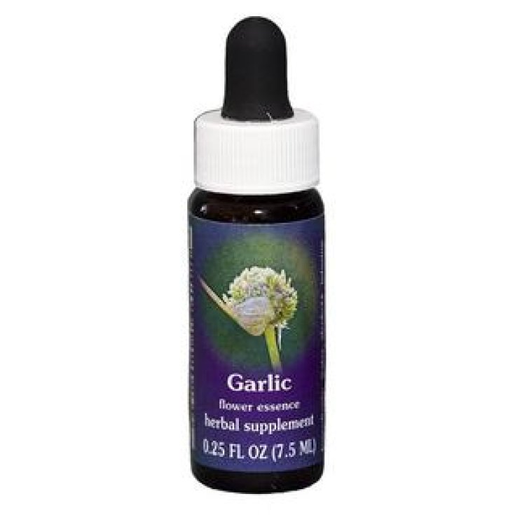 Garlic Essenza Singola Californiana Flower Essence Society 7,4ml