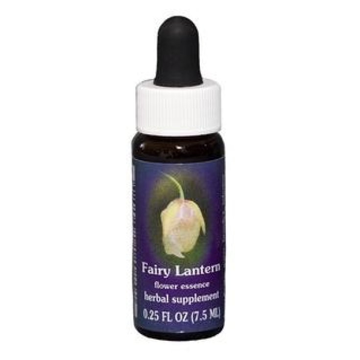 Fairy Lantern Essenza Singola Californiana Flower Essence Society 7,4ml