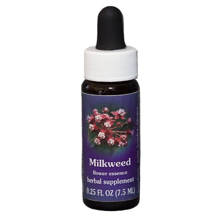 Milkweed Essenza Singola Californiana Flower Essence Society 7,4ml 
