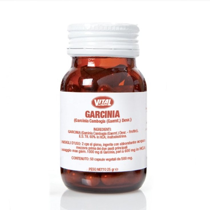 Garcinia Vital Dr.Taffi 50 Capsule