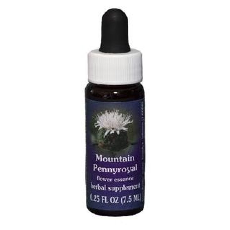 Mountain Pennyroyal Essenza Singola Californiana Flower Essence Society 7,4ml 