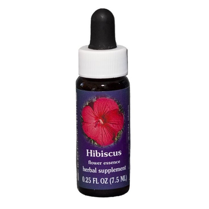 Hibiscus Essenza Singola Californiana Flower Essence Society 7,4ml 
