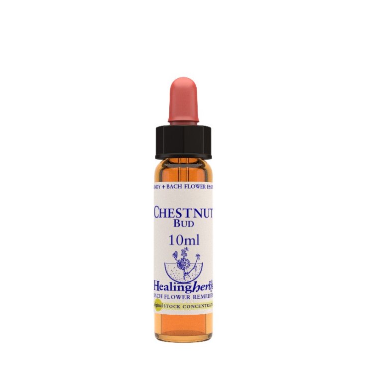 Chestnut Bud Bach Flower Remedies Healing Herbs 10ml