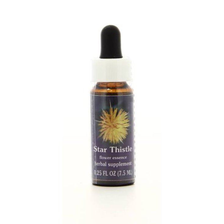 Star Thistle Essenza Singola Californiana Flower Essence Society 7,4ml