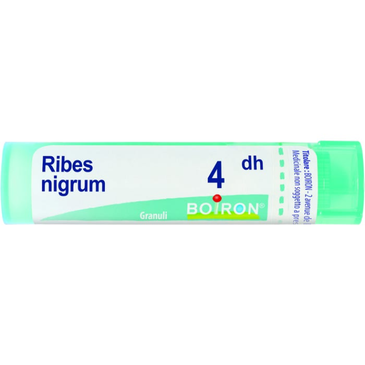 Ribes Nigrum 4DH Boiron 80 Granuli