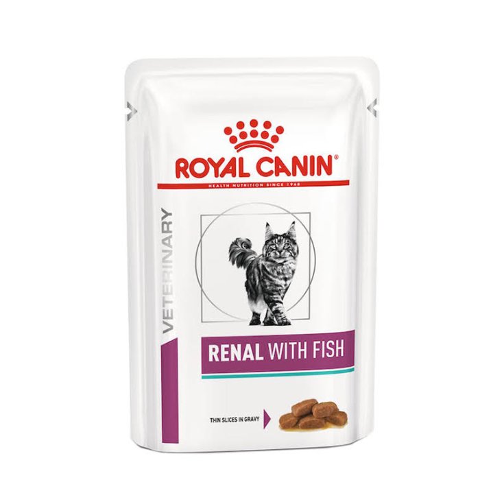 Veterinary Diet Renal con Pesce - 12X85GR