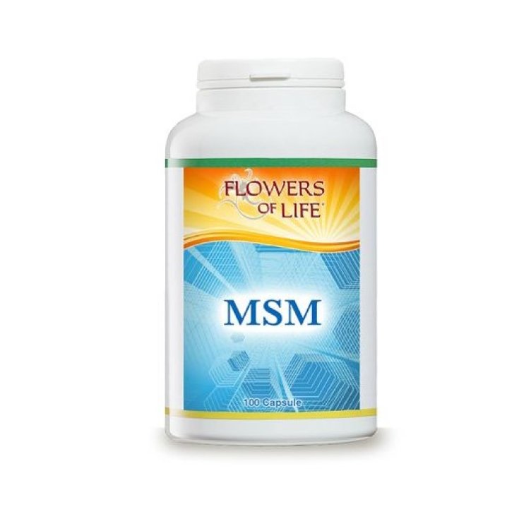 MSM Flowers Of Life 100 Capsule