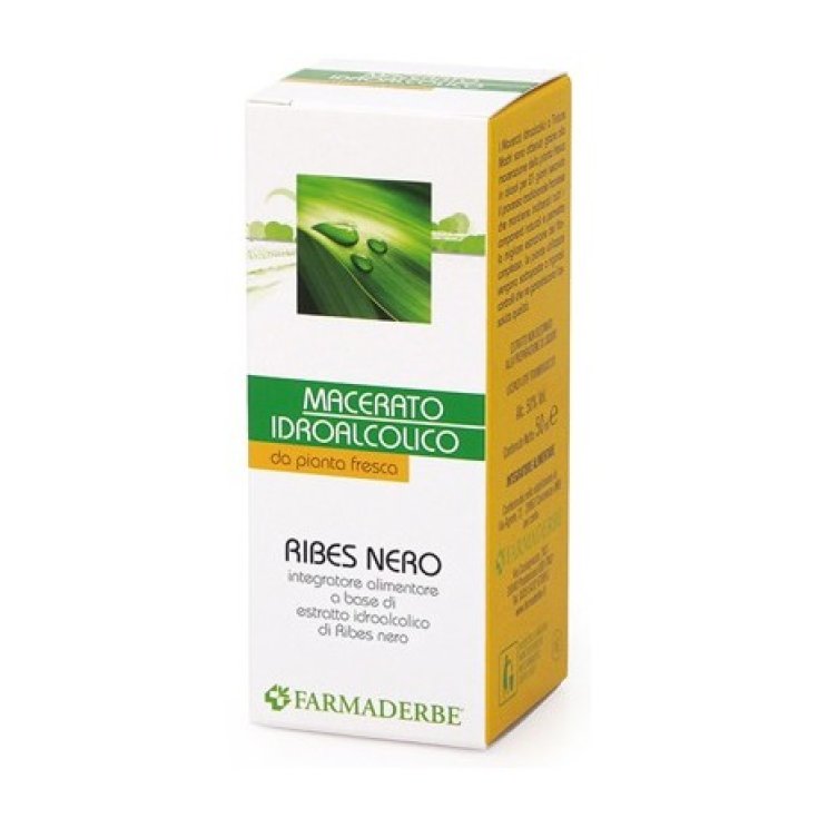 Ribes Nero Macerato Idroalcolico Farmaderbe 50ml