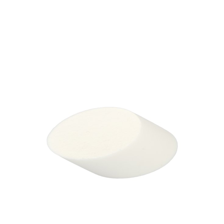 Spugna Make Up Perfection&nbsp;Beautytime 1 Pezzo