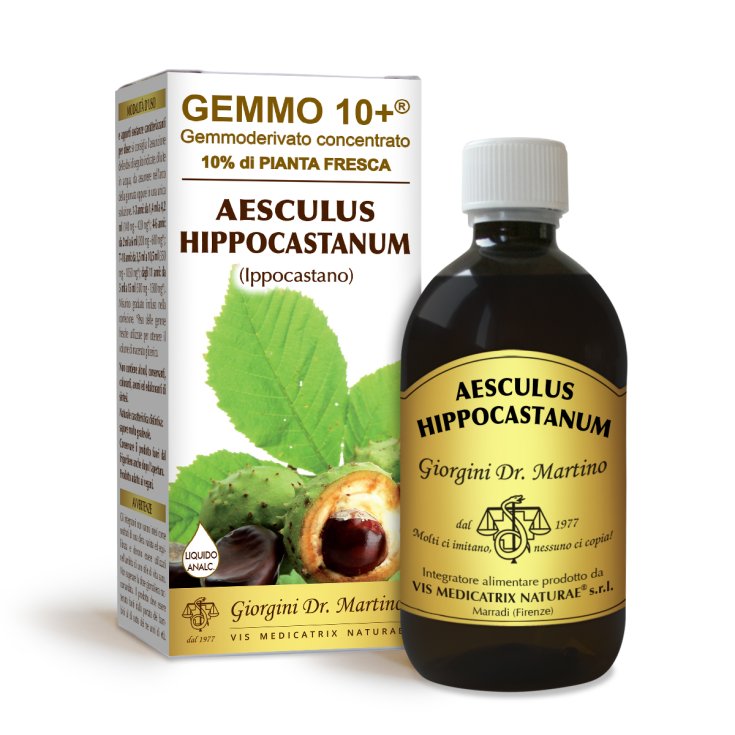 G10+ Ippocastano Dr. Giorgini 500ml