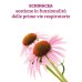 Echinacea Angustifolia E Purpurea Colours Of Life&reg; Optima Naturals 60 Capsule
