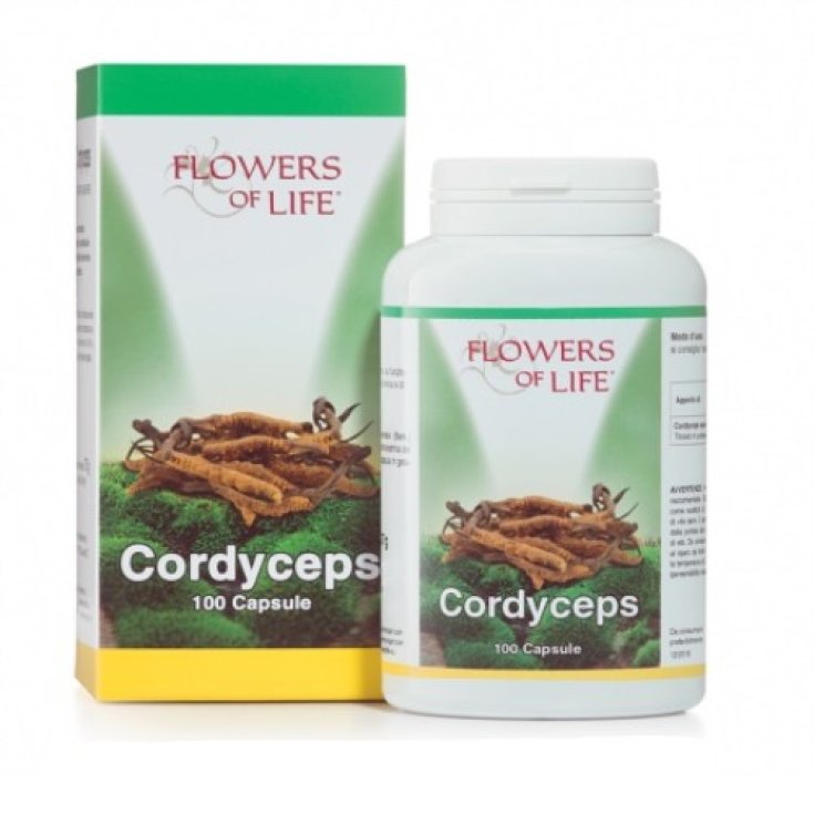 Cordyceps Flowers Of Life 100 Capsule