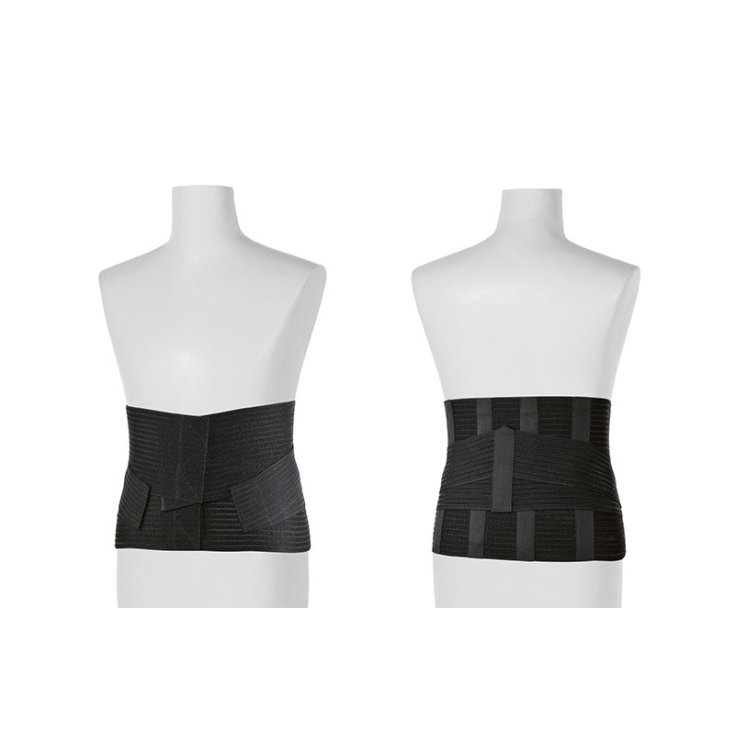 Winner+ Corsetto Unisex XXL TLM 1 Pezzo