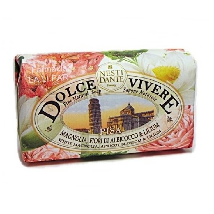 Dolce Vivere Pisa Nesti Dante 250g