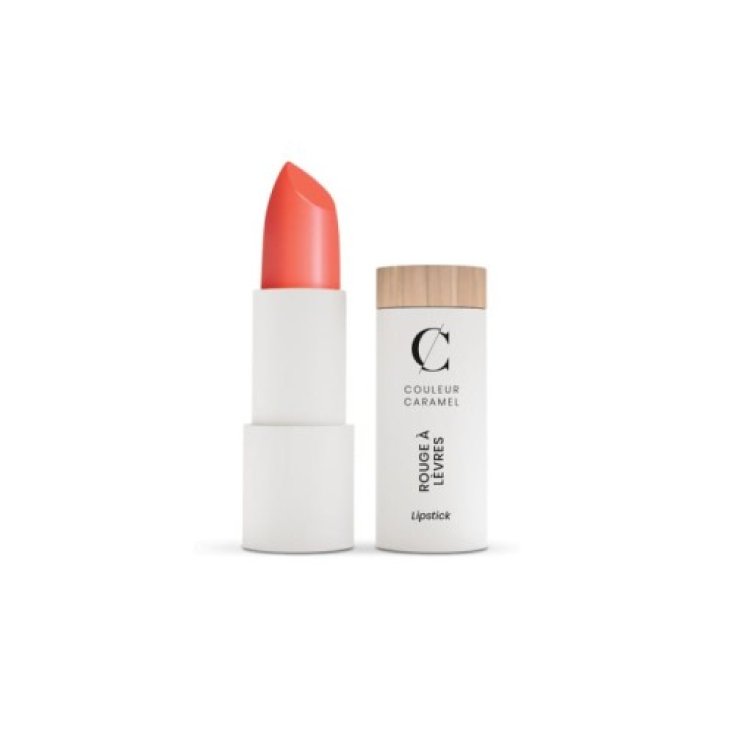 Rouge &Agrave; L&egrave;vres Mate 260 Coral Couleur Caramel 3.5g