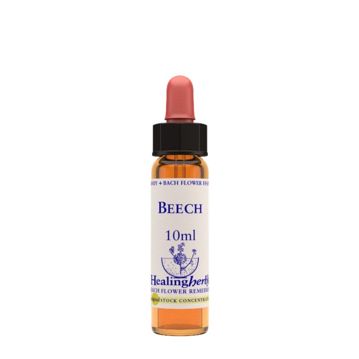 Beech Bach Flower Remedies Healing Herbs 10ml