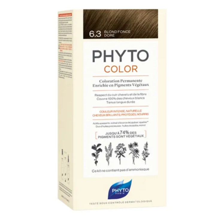 Phytocolor 6.3 Biondo Scuro Dorato Phyto 1 Kit