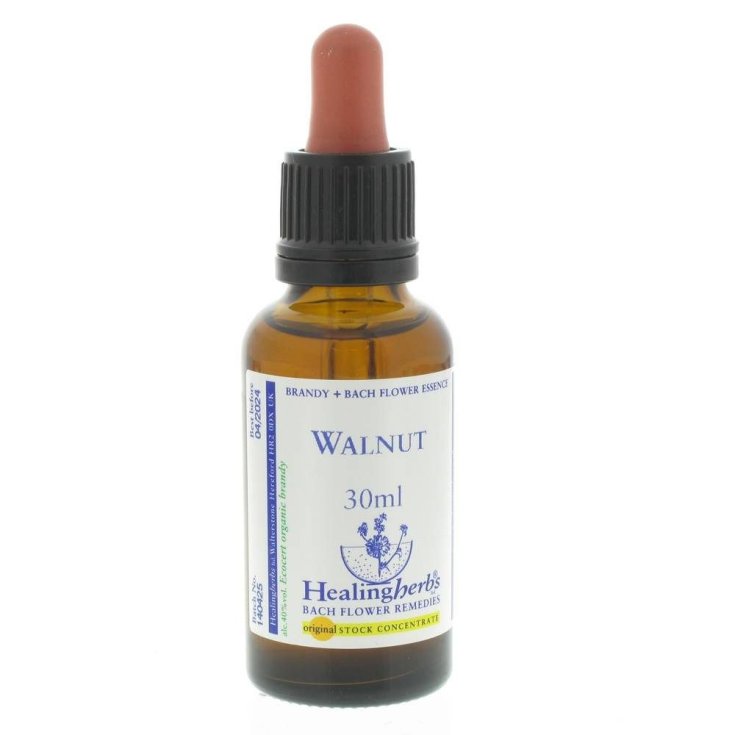 Walnut Bach Flower Remedy Healing Herbs 30ml