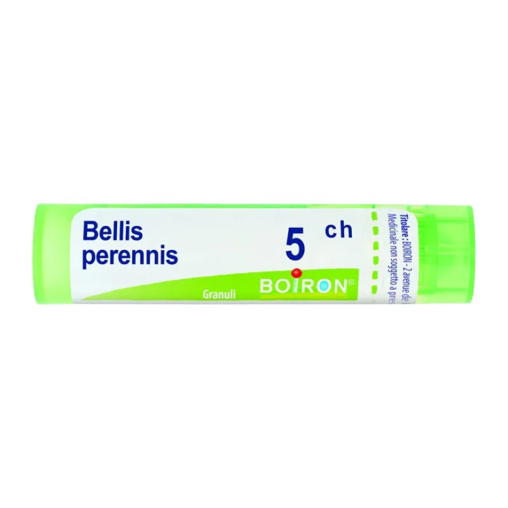 Bellis Perennis 5CH Boiron 80 Granuli 4g