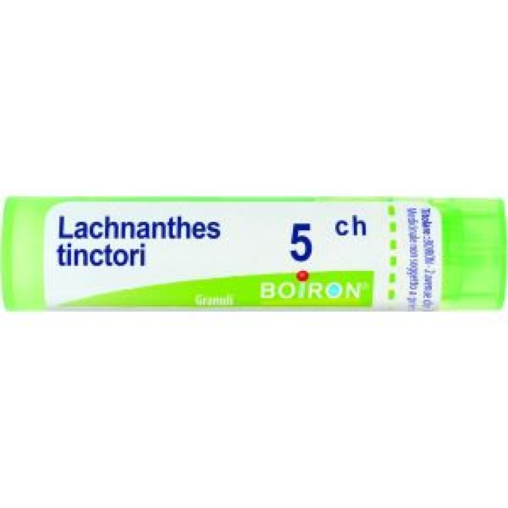 Lachnanthes Tinctoria 5CH Boiron 80 Granuli