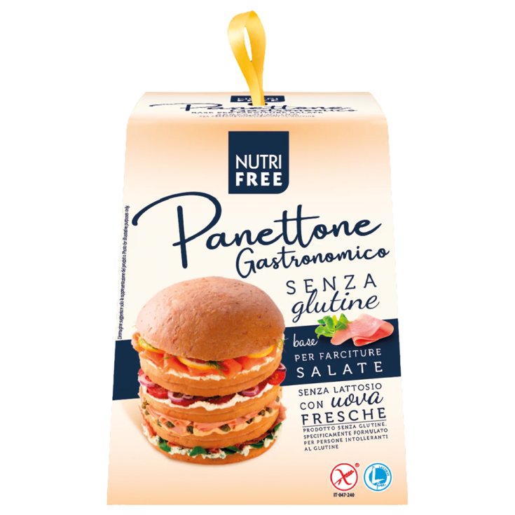 Panettone Gastronomico Nutrifree 400g