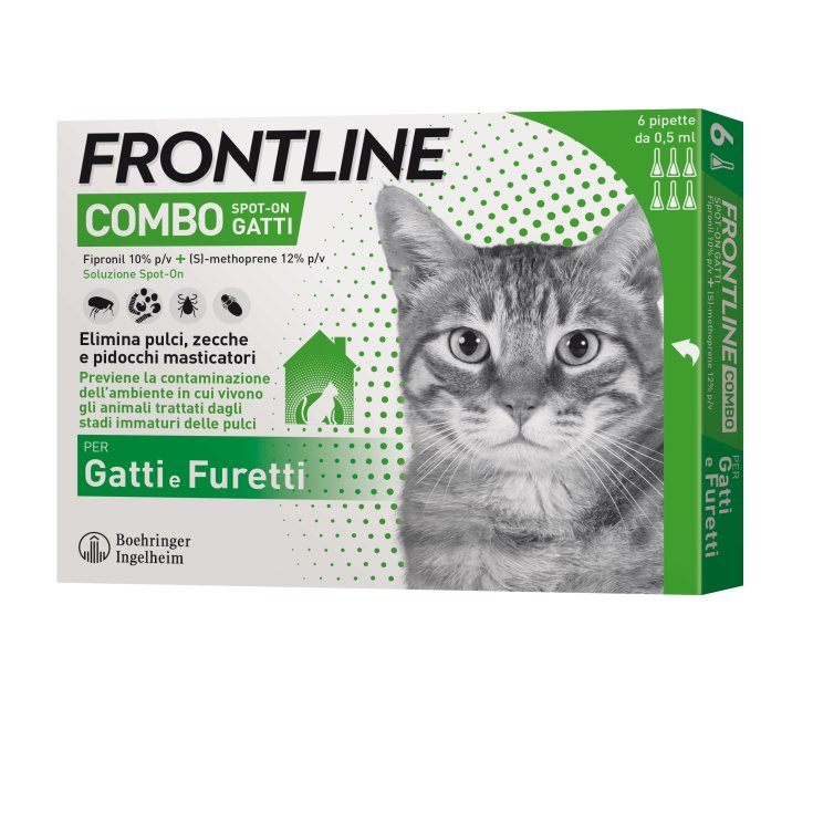 Frontline Combo Gatti e Furetti 6 Pipette