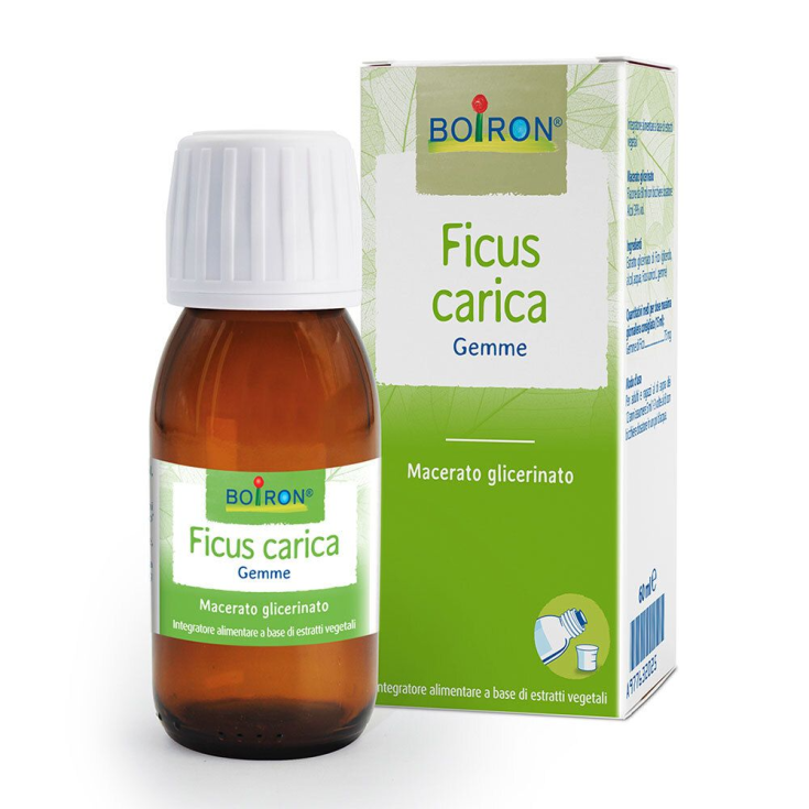 Ficus Carica Gemme 1dh MG Boiron 60ml