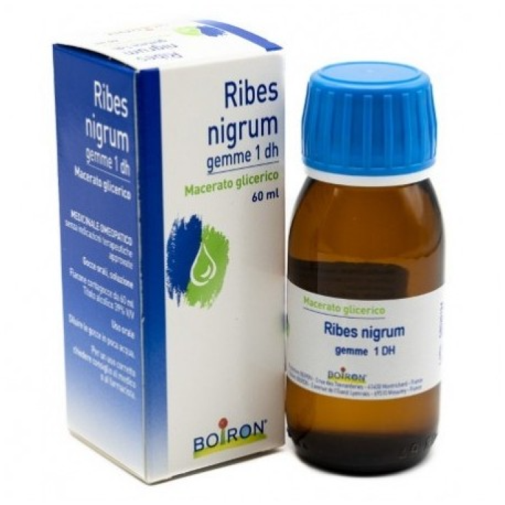 Ribes Nigrum Gemme 1dh MG Boiron 60ml