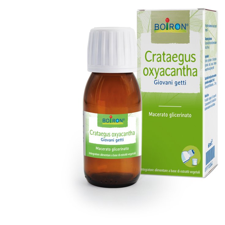 Crataegus Oxyacantha Mg Boiron 60ml