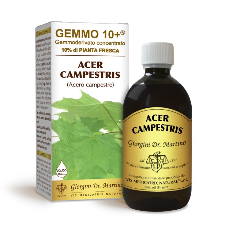 Acero Campestre G10+ Acer Campestris Dr. Giorgini 500ml