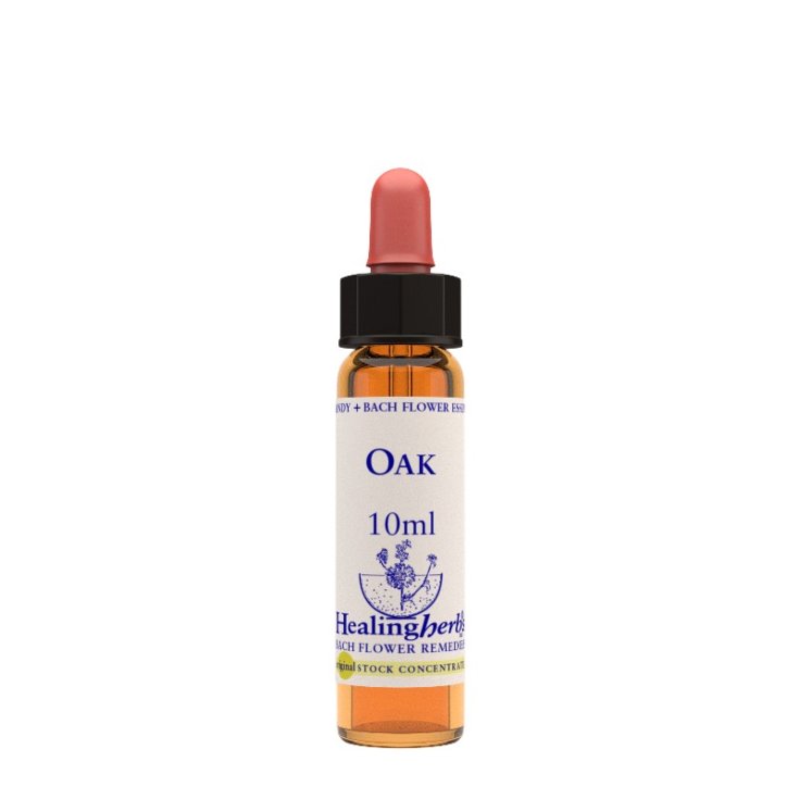 Oak Bach Flower Remedies Healing Herbs 10ml 