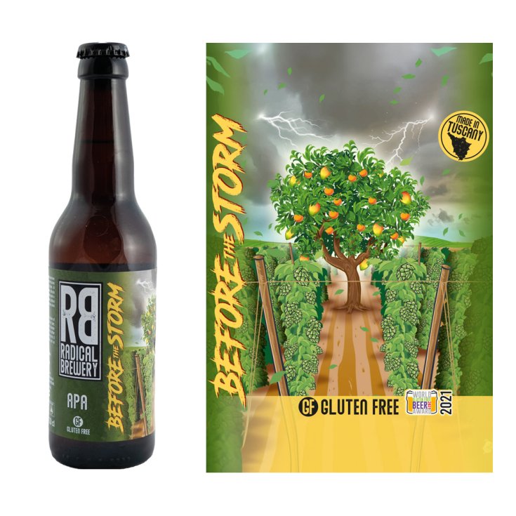 Before The Storm Radical Brewery 330ml