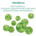 Bio Chlorella Colours of Life Optima 200 Compresse