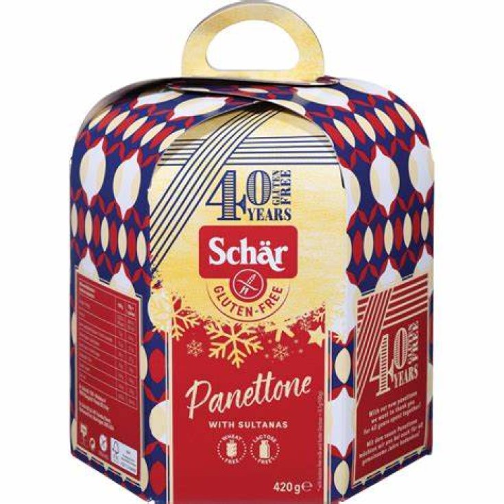 Panettone Schär 420g 