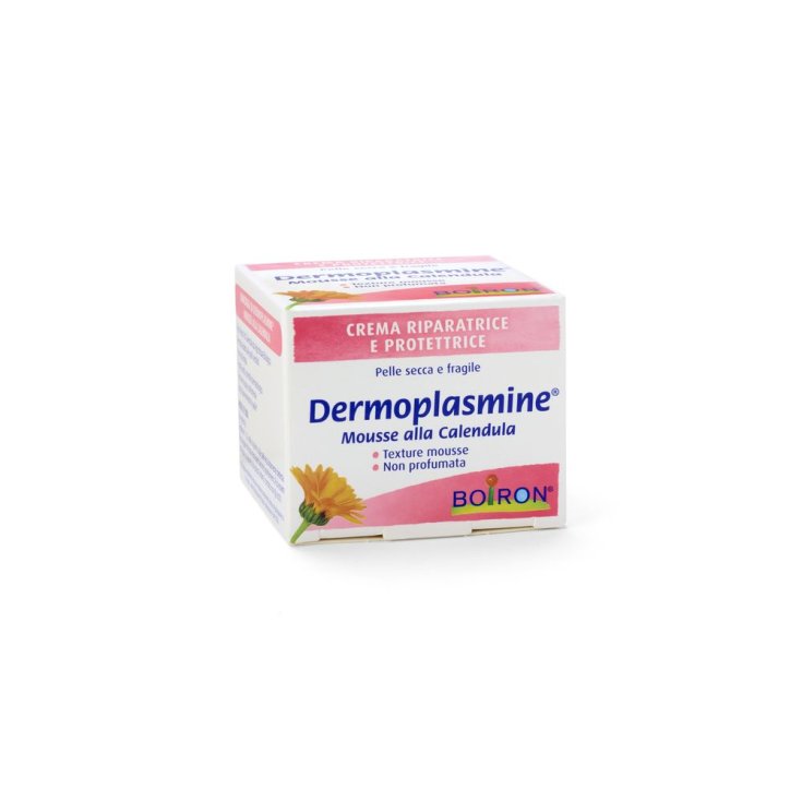 Dermoplasmine® Mousse Boiron® 20g