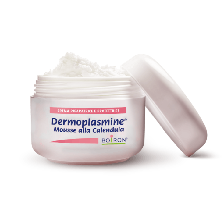 Dermoplasmine® Mousse Boiron 20g