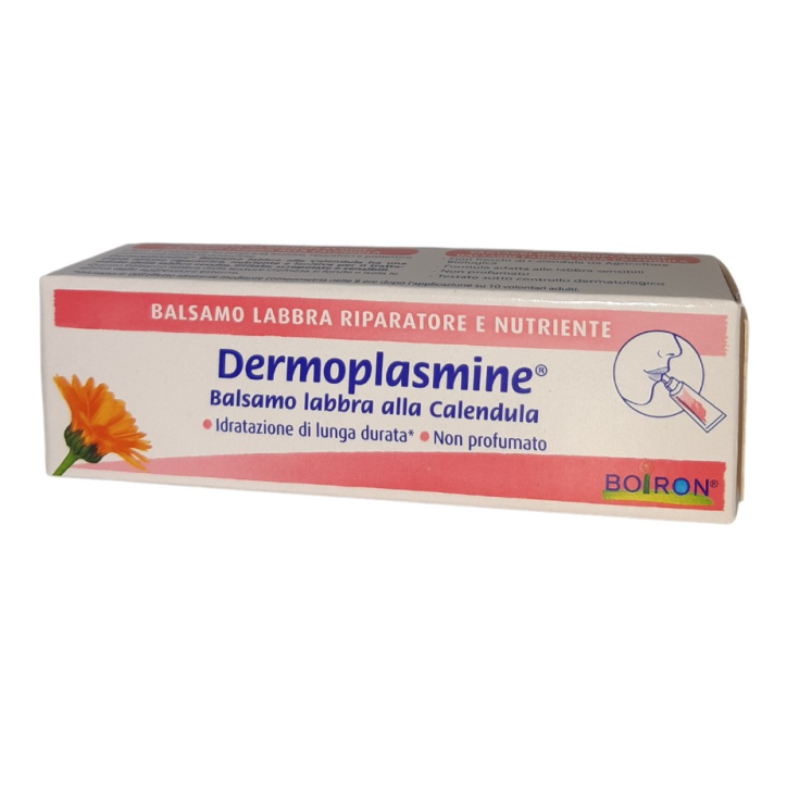 Dermoplasmine® Labbra Boiron Stick 4g