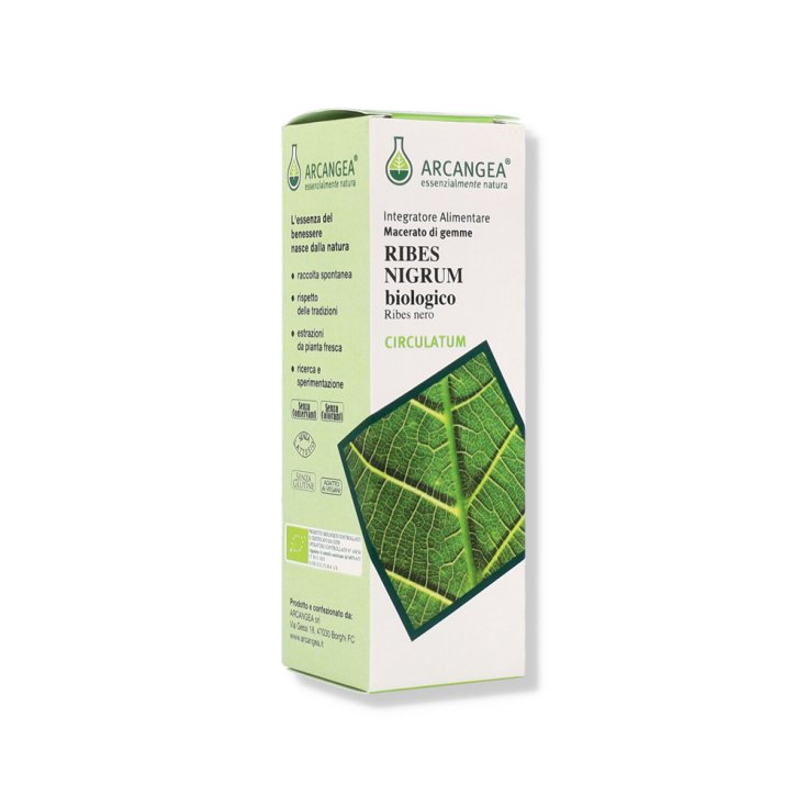 Ribes Nigrum Circulatum Gemmoderivato 33 Bio Arcangea® 100ml