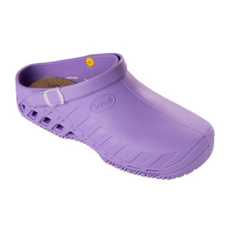 Clog Evo Unisex Scholl Lilla 35-36