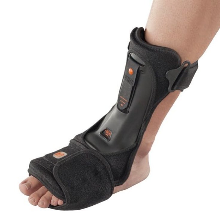 MalleoniteTutore Notturno Ro+Ten Taglia L/XL