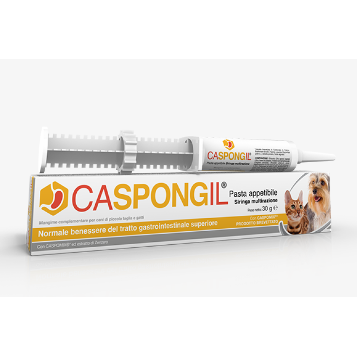 Caspongil® Pasta Shedir pharma® 30g