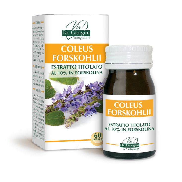 Coleus Forskohlii Estratto Titolato Dr.Giorgini 30g