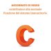 Colours of Life VITAMINA C 500 OPTIMA 120 Capsule