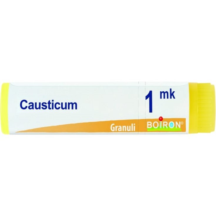 Casticum 1 mk BOIRON Globuli 1g